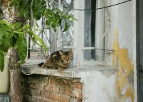 benefits of alternative doors