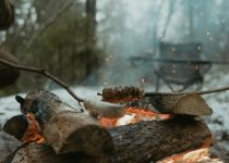 best canopy for bbqs