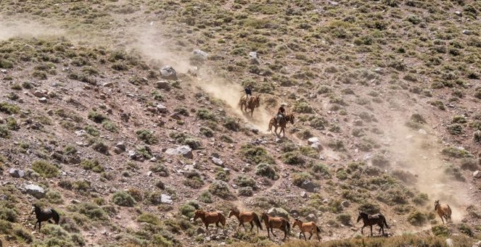 best outdoor tv mounts