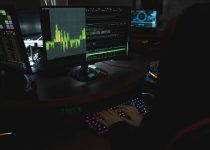 best screens for lanai