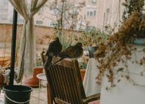 camp chair garden integration