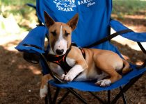 camp chair shade solutions