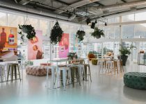 canopy benefits various outdoor spaces