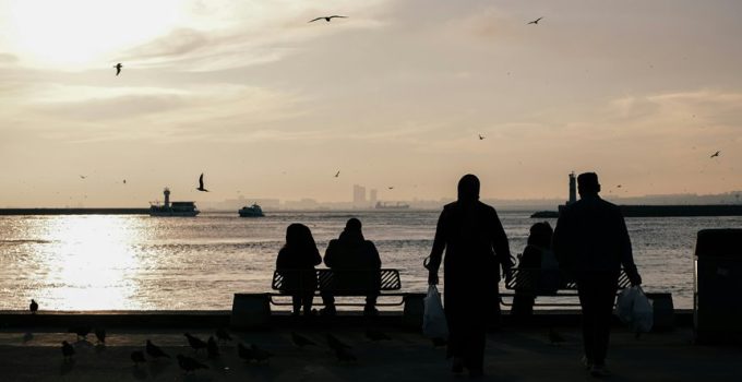 cedar bench outdoor shower