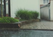 compact outdoor shower designs