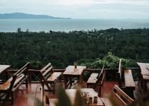 decking installation near trees