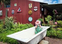 decorative driftwood campsite element