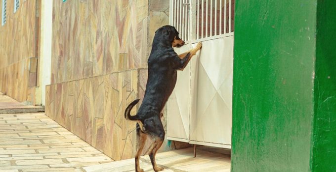 effective patio door security