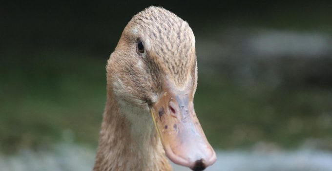 energy efficiency and cost savings