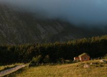 enhancing lanai privacy easily