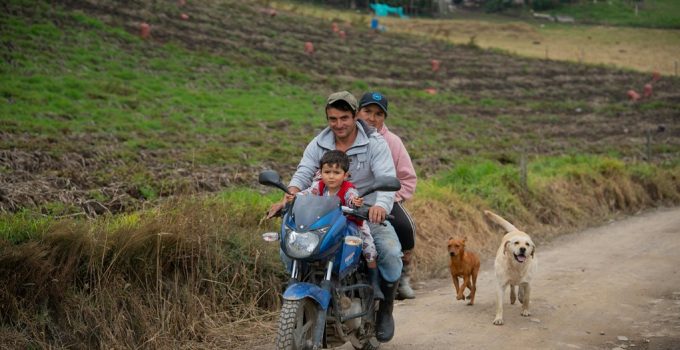 grill island safety education