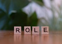 ideal functional lanai size