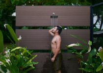 ideal plants for privacy