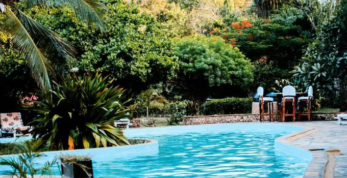ideal poolside landscaping plants