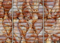 ideal spice storage solutions