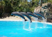 louvered pergolas by water