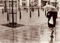louvered pergolas manage rain