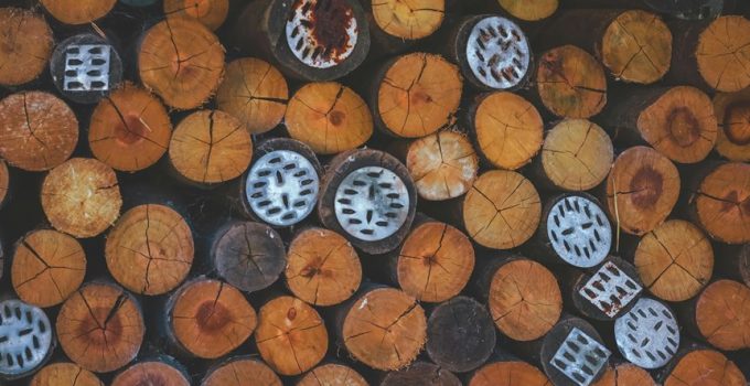 lumber versus logs choice