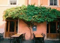 maximize patio door visibility
