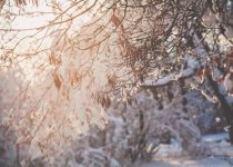 minimize sunlight reflection outdoors