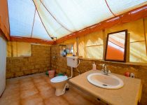 outdoor shower design tips