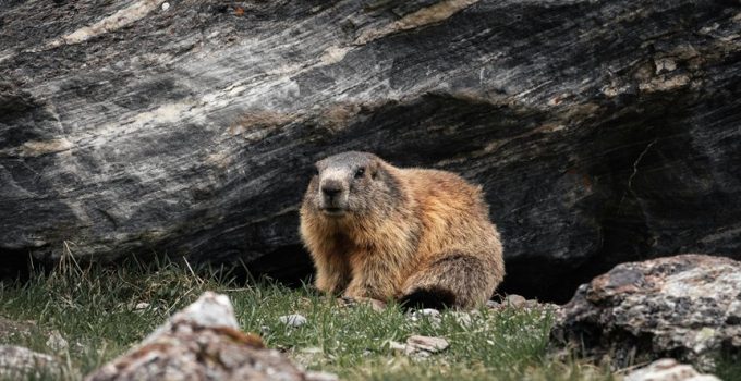 outdoor stone in humidity