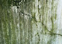 outdoor stone mold resistance