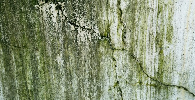 outdoor stone mold resistance