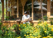 planting flowers indoors allowed