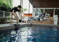 pool fencing legal requirements
