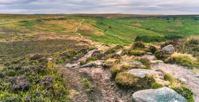 potential drawbacks of stone