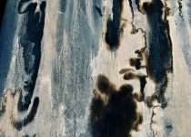 prevent mold on grill