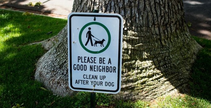 proper pool behavior guidelines