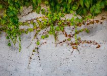 remove grill stains effectively
