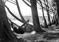 secure hammock in storms