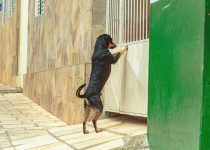 secure your patio doors