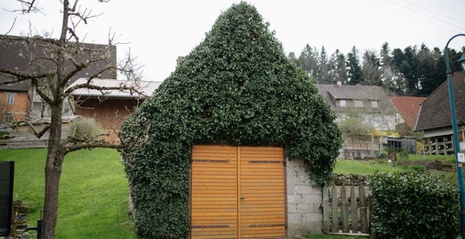 selecting backyard stone hues