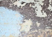 stacked stone pest resistance