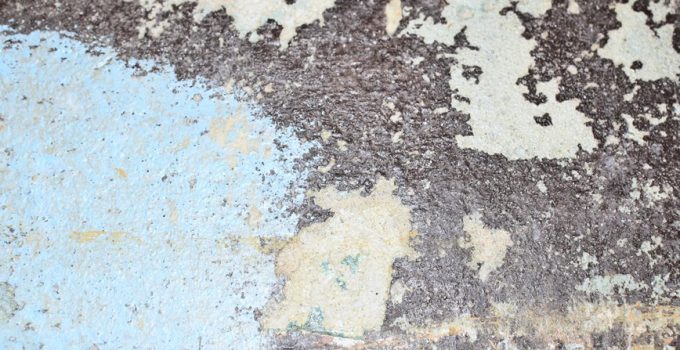 stacked stone pest resistance