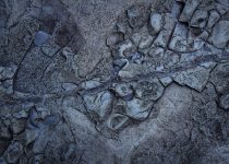 stacking stone on soil