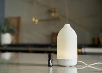 steam cleaning effectiveness questioned