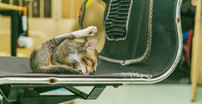 sustainable chair cleaning techniques