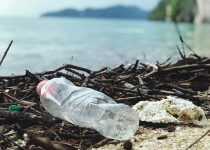 sustainable outdoor tv disposal