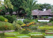 top rated patio canopies