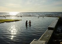 treat green pool water