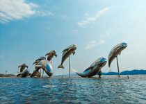 water features enhance pools