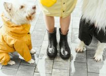 waterproof flooring options lanai