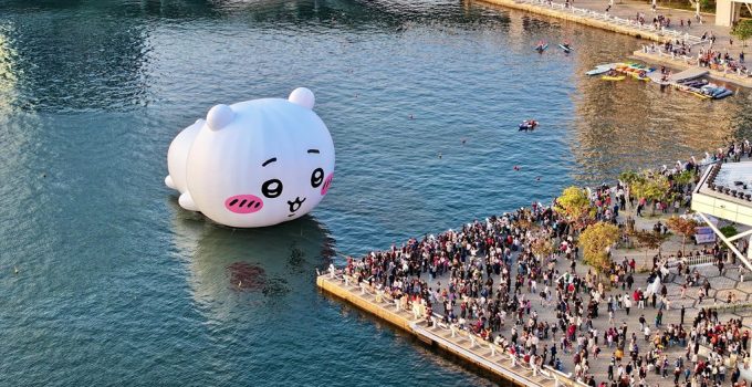 weekend rustic deck installation