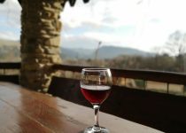 wine tasting hot tub experience